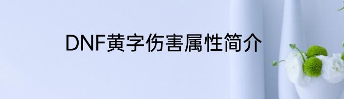 DNF黄字伤害属性简介