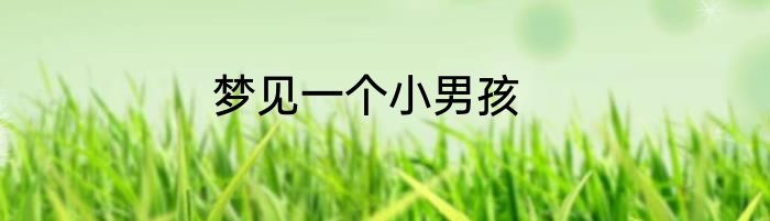 梦见一个小男孩