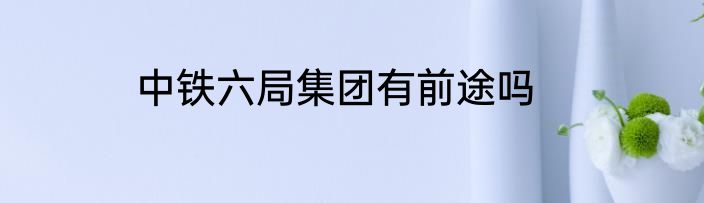 中铁六局集团有前途吗
