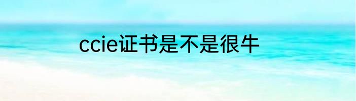 ccie证书是不是很牛