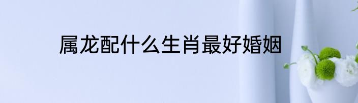 属龙配什么生肖最好婚姻