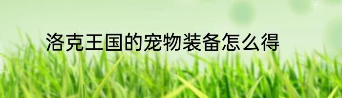 洛克王国的宠物装备怎么得