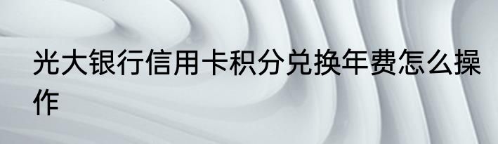光大银行信用卡积分兑换年费怎么操作