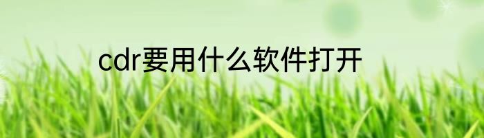 cdr要用什么软件打开