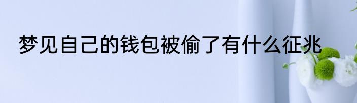梦见自己的钱包被偷了有什么征兆