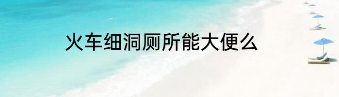 火车细洞厕所能大便么