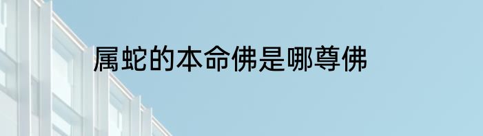 属蛇的本命佛是哪尊佛
