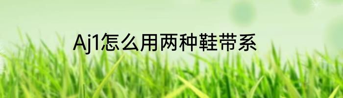 Aj1怎么用两种鞋带系