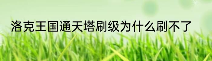 洛克王国通天塔刷级为什么刷不了