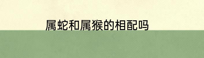 属蛇和属猴的相配吗