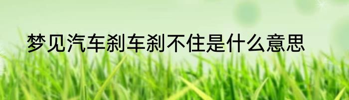 梦见汽车刹车刹不住是什么意思