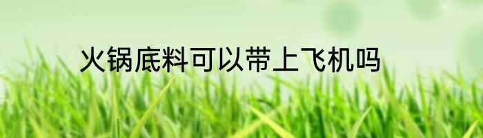 火锅底料可以带上飞机吗