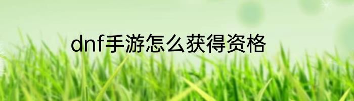 dnf手游怎么获得资格