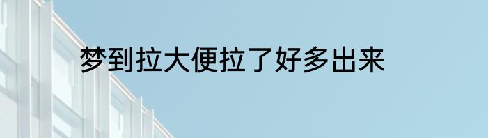 梦到拉大便拉了好多出来