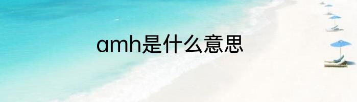 amh是什么意思