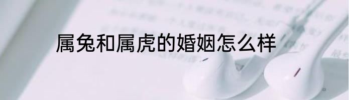 属兔和属虎的婚姻怎么样