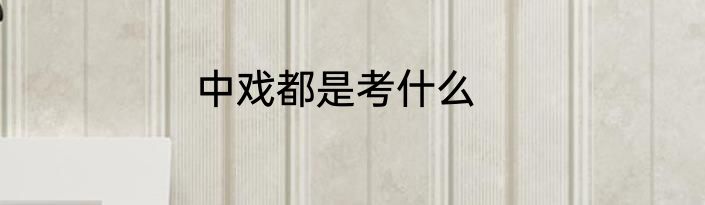 中戏都是考什么