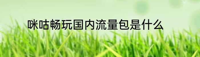 咪咕畅玩国内流量包是什么