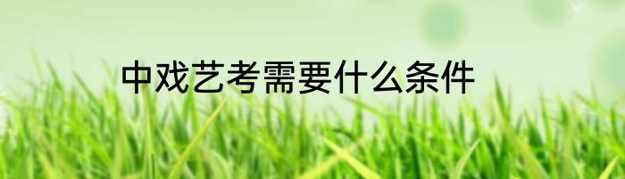 中戏艺考需要什么条件