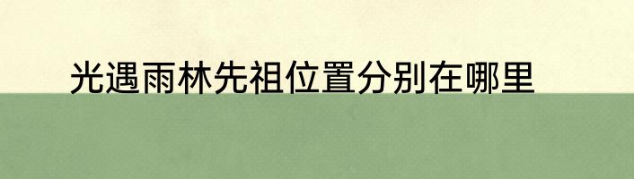 光遇雨林先祖位置分别在哪里