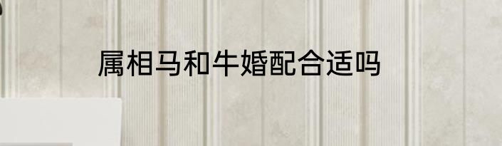 属相马和牛婚配合适吗