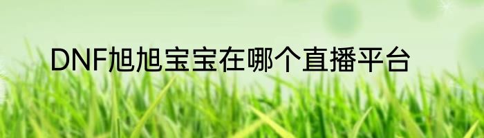 DNF旭旭宝宝在哪个直播平台