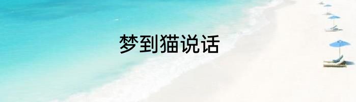 梦到猫说话