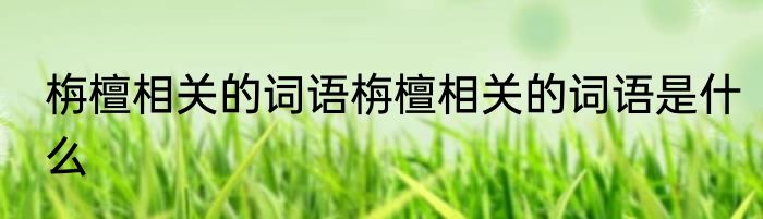 栴檀相关的词语栴檀相关的词语是什么