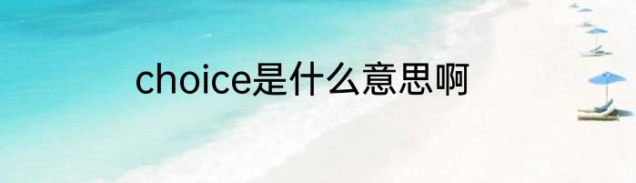 choice是什么意思啊