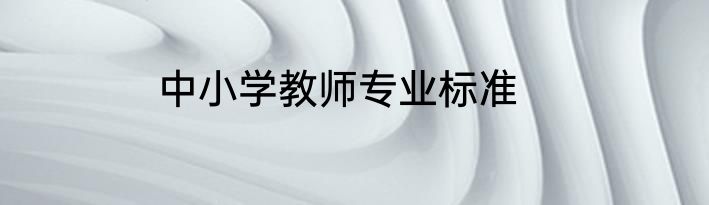 中小学教师专业标准