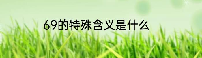 69的特殊含义是什么