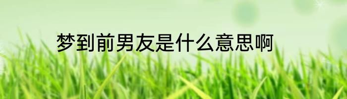 梦到前男友是什么意思啊