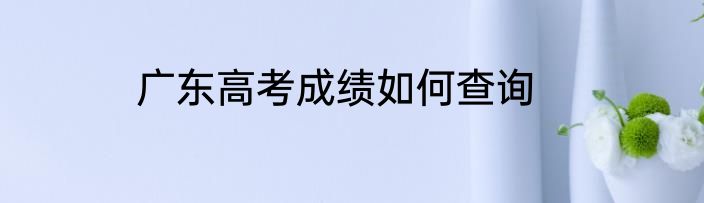 广东高考成绩如何查询