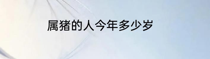 属猪的人今年多少岁