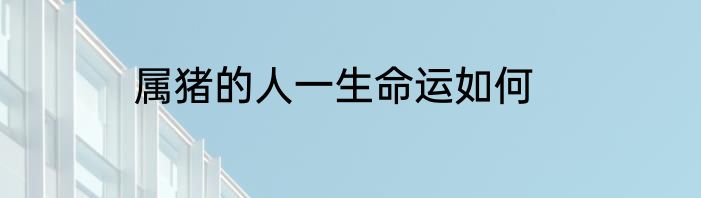 属猪的人一生命运如何