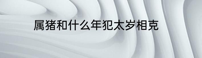 属猪和什么年犯太岁相克