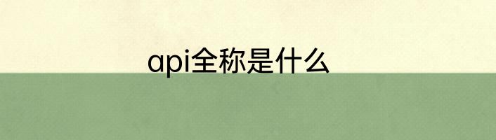 api全称是什么