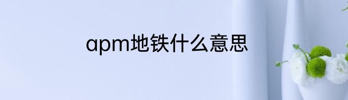 apm地铁什么意思