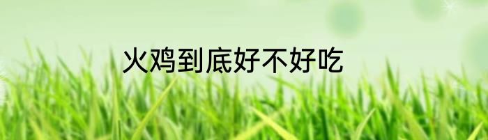 火鸡到底好不好吃