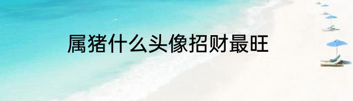 属猪什么头像招财最旺