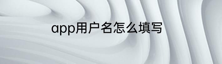 app用户名怎么填写