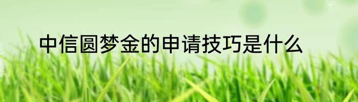 中信圆梦金的申请技巧是什么