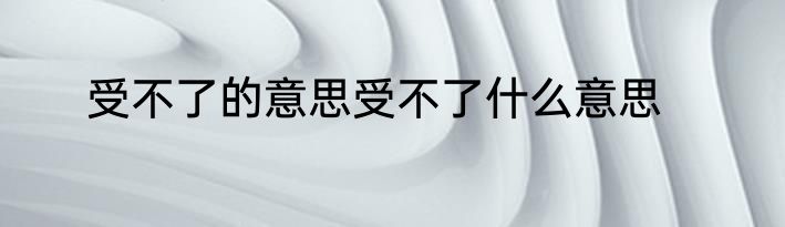 受不了的意思受不了什么意思