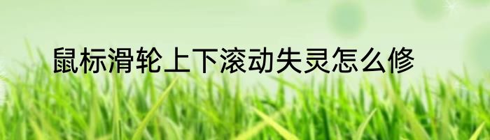 鼠标滑轮上下滚动失灵怎么修