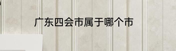 广东四会市属于哪个市