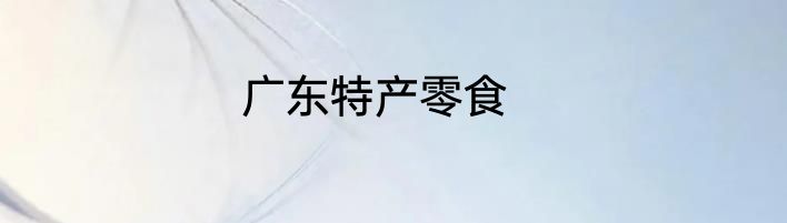 广东特产零食