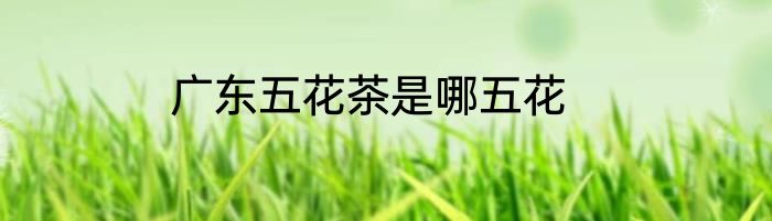 广东五花茶是哪五花