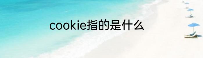 cookie指的是什么