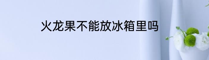 火龙果不能放冰箱里吗