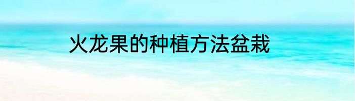 火龙果的种植方法盆栽